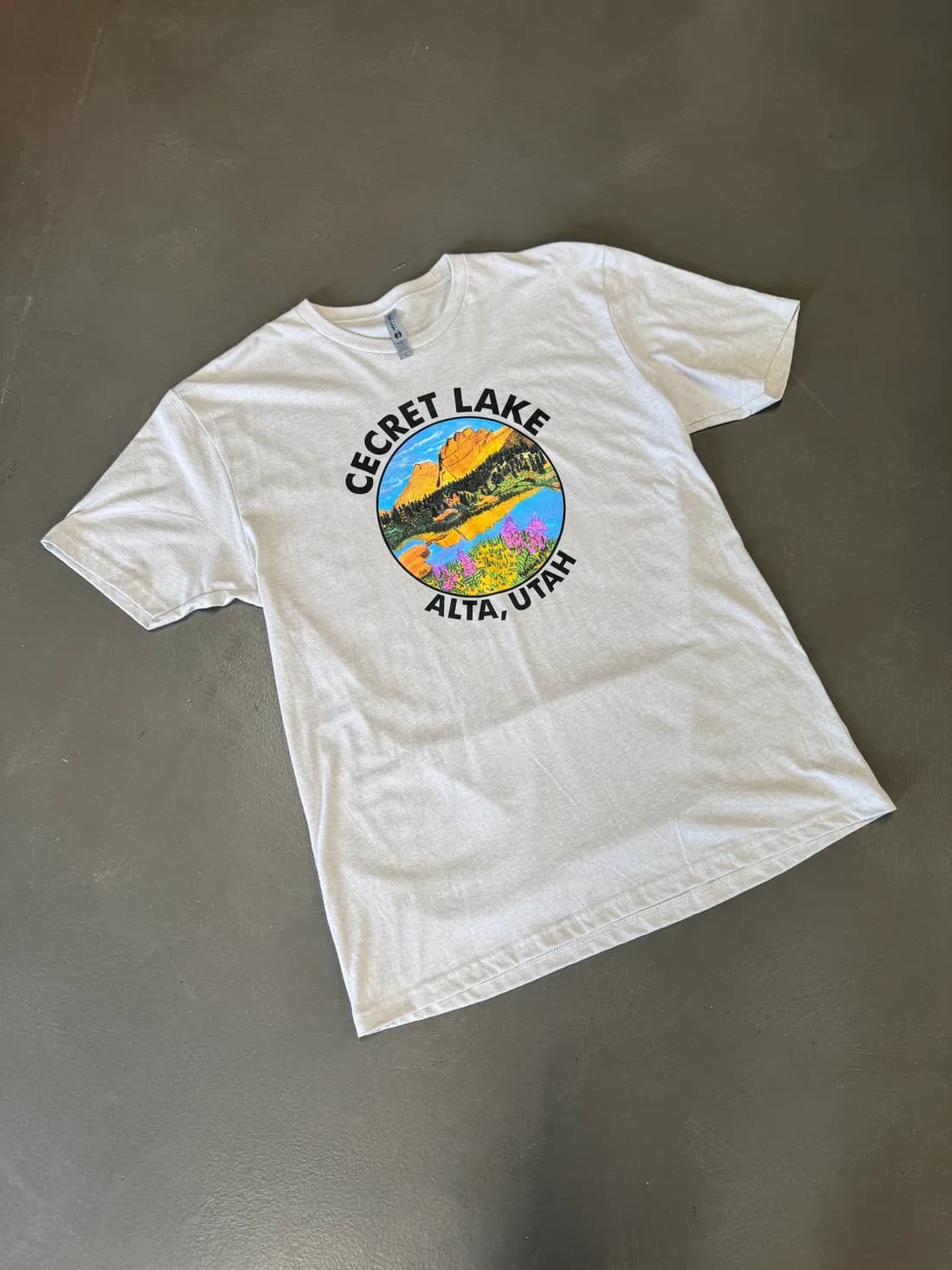 Heather Next Level 6210 tee with a full-color Cecret Lake, Alta Utah print